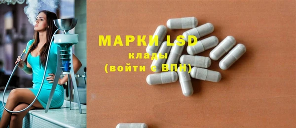 эйфоретик Няндома