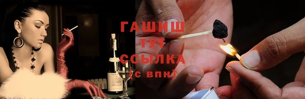эйфоретик Няндома