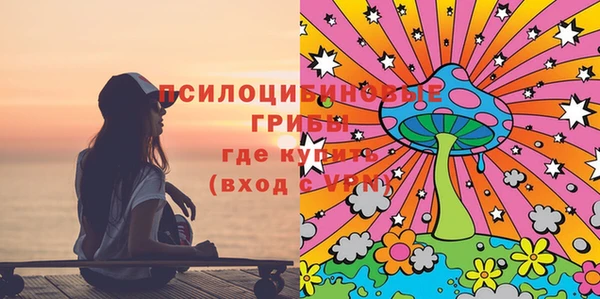 spice Нязепетровск