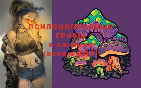 мяу мяу мука Нягань