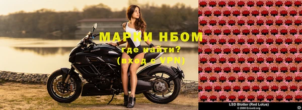 эйфоретик Няндома
