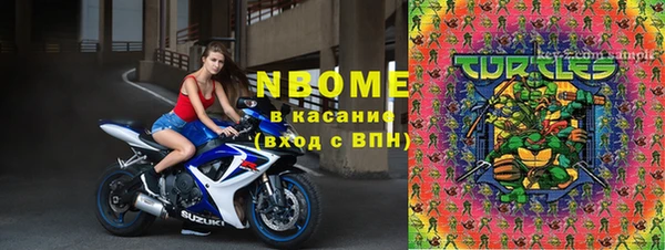 эйфоретик Няндома