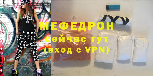 эйфоретик Няндома
