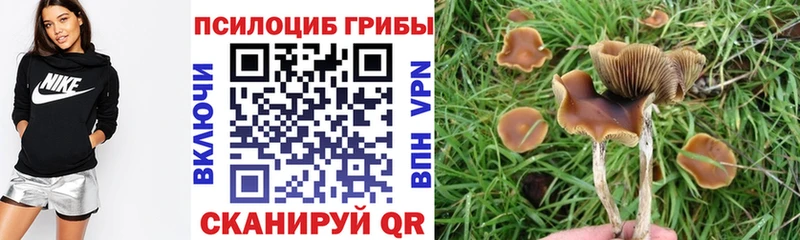 Псилоцибиновые грибы MAGIC MUSHROOMS  Северо-Курильск 
