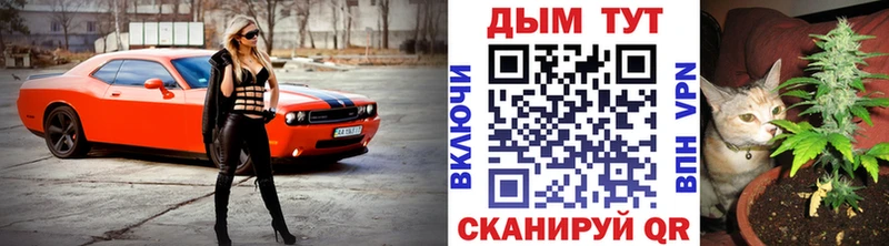 Конопля MAZAR  Северо-Курильск 